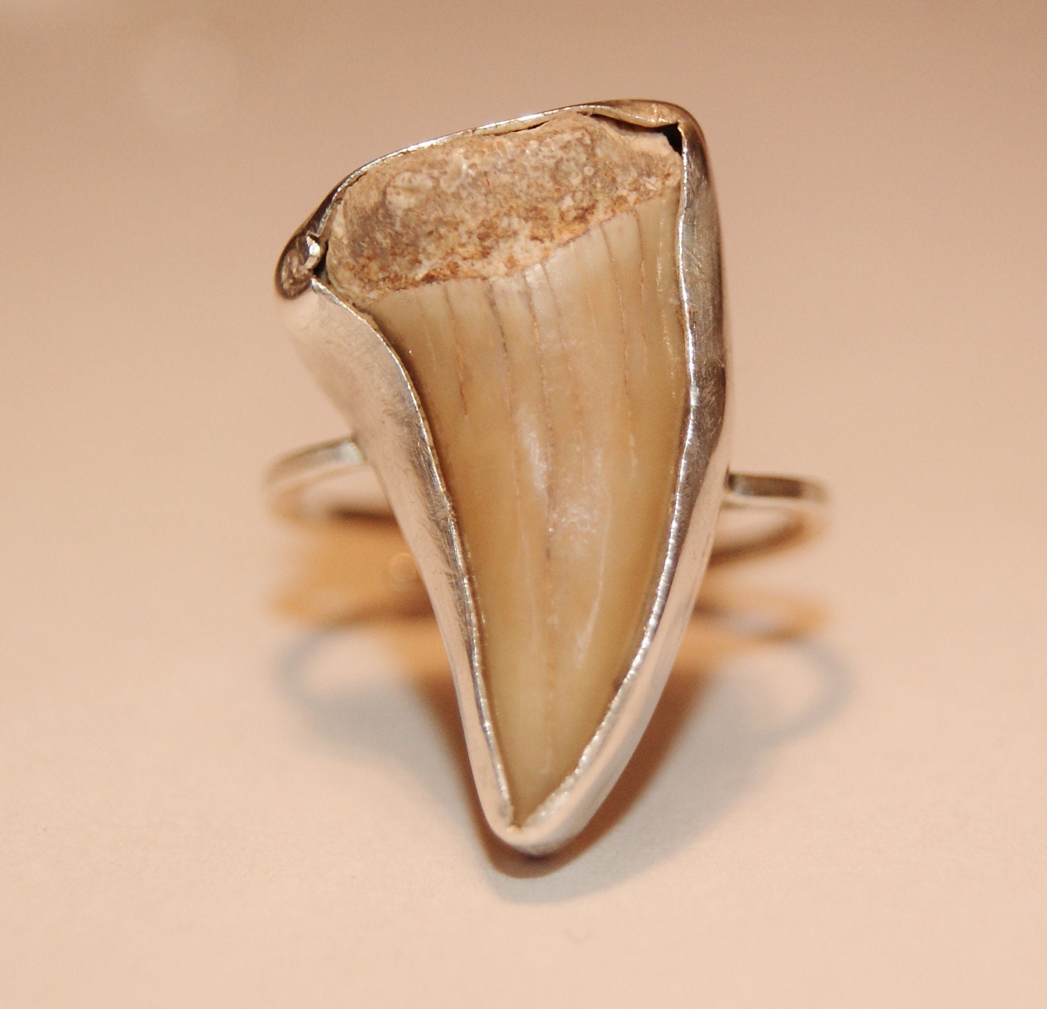 Sterling silver fossilised sharks tooth ring