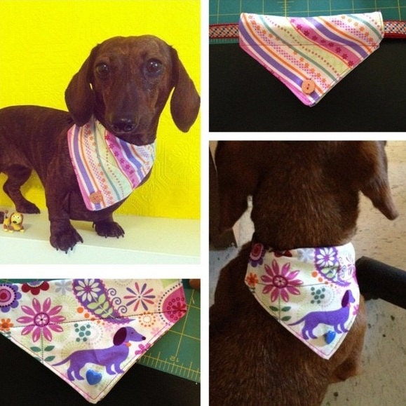 Custom reversible dog/cat collar bandana
