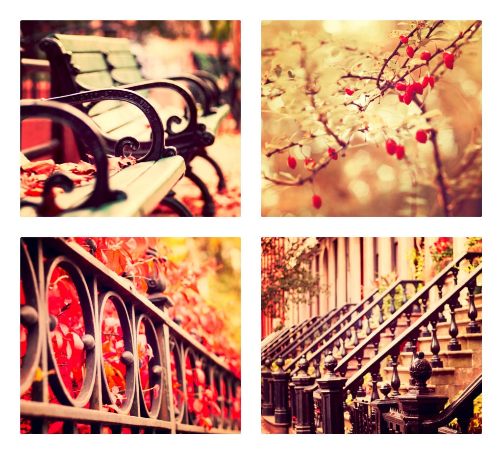 Fall Photography Set of 4 - 8x10 city nature prints, red, crimson, yellow gold, plum, black, aubergine, berries, urban city decor, fPOE
