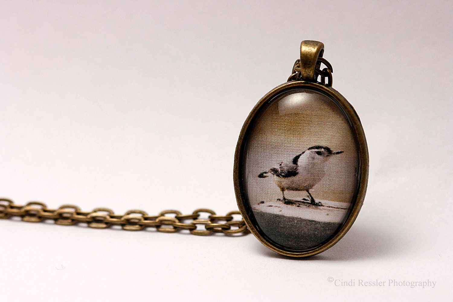 White-breasted Nuthatch Photo Pendant - CindiRessler
