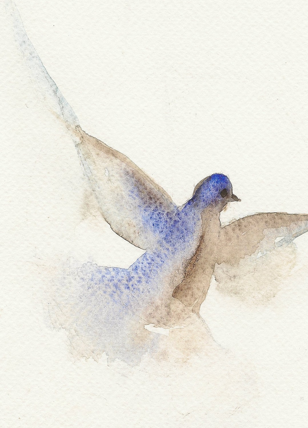 Flying Dove Sketch