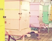 Pastel Carts - 8x8 Key West Florida travel photography pastel print home nursery decor wall art festive fun colors pink yellow green peach