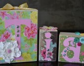 name blocks, girl's room  custom blocks, Photo Shoot Prop, Baby Shower Gift, Nursery Decor, Newborn Photo Prop, Wood Name Blocks