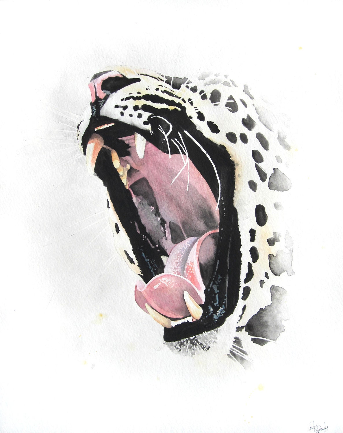 Leopard - 11" x 14" archival print