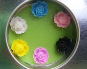 Drink marker or magnet set - small flowers