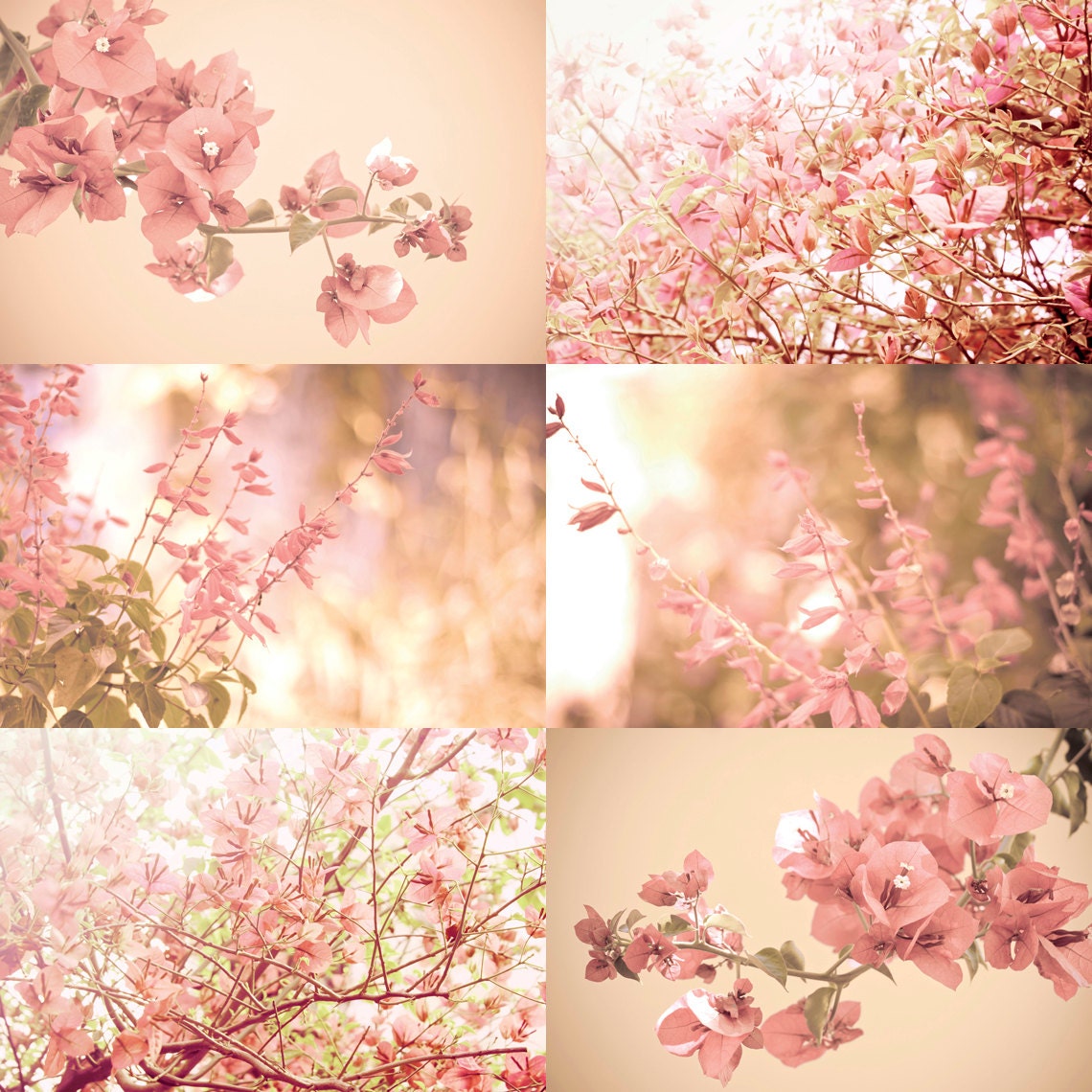 Pastel Flowers 50% OFF Floral branches Set of 6 prints 8x12 pink salmon Flower art set Floral wall decor Peach wall art