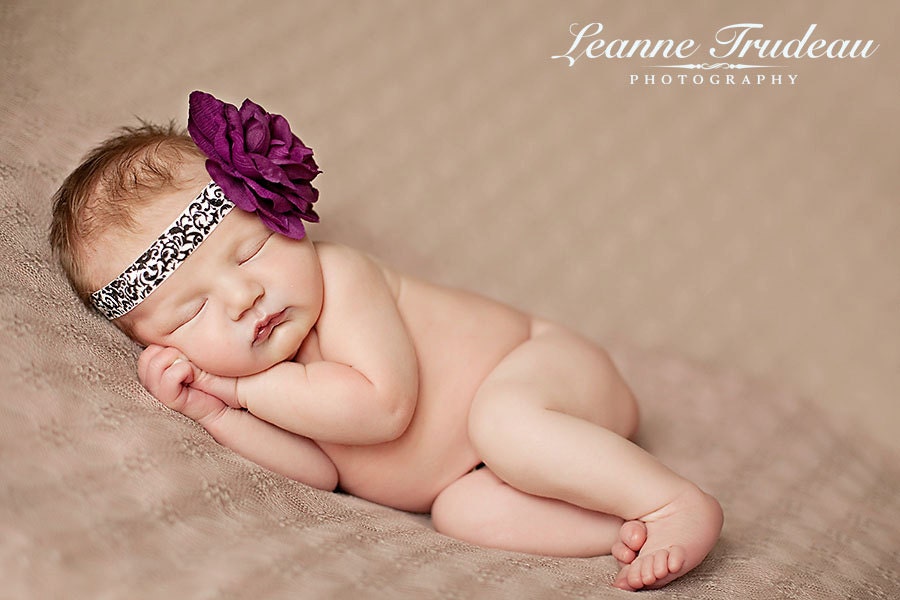 Dark Fuschia Flowers