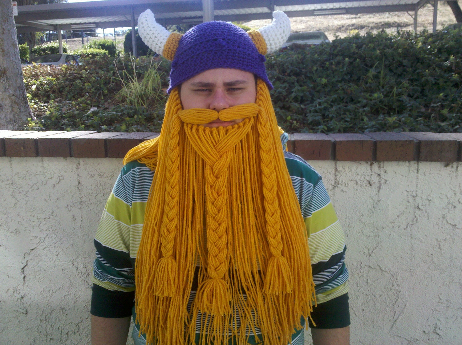 Minnesota Vikings Beanie and Beard