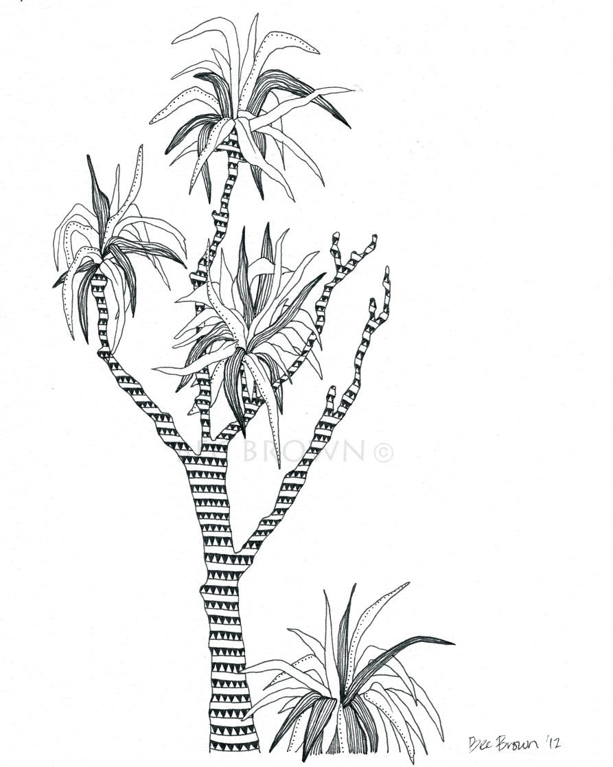 New Zealand Cabbage Tree Black and White Drawing 8x10" Print (unframed)