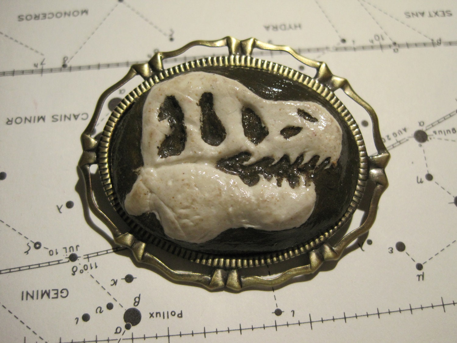 T. Rex Skull Cameo Brooch