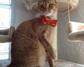 Halloween Pumpkin Dog Cat Bow Tie Small