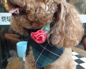 Dog winter cape Tweed tartan cape with contrast collar and cotton lining for small dogs (size SS  - SM)