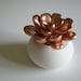 Succulent Sculpture in White Modern Round Container, Tabletop Centerpiece, Springtime Desktop Accessory
