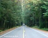 Landscape Photograph, Highway Photo, Tree Photography, 8x10 Print by Prchal Art Studio