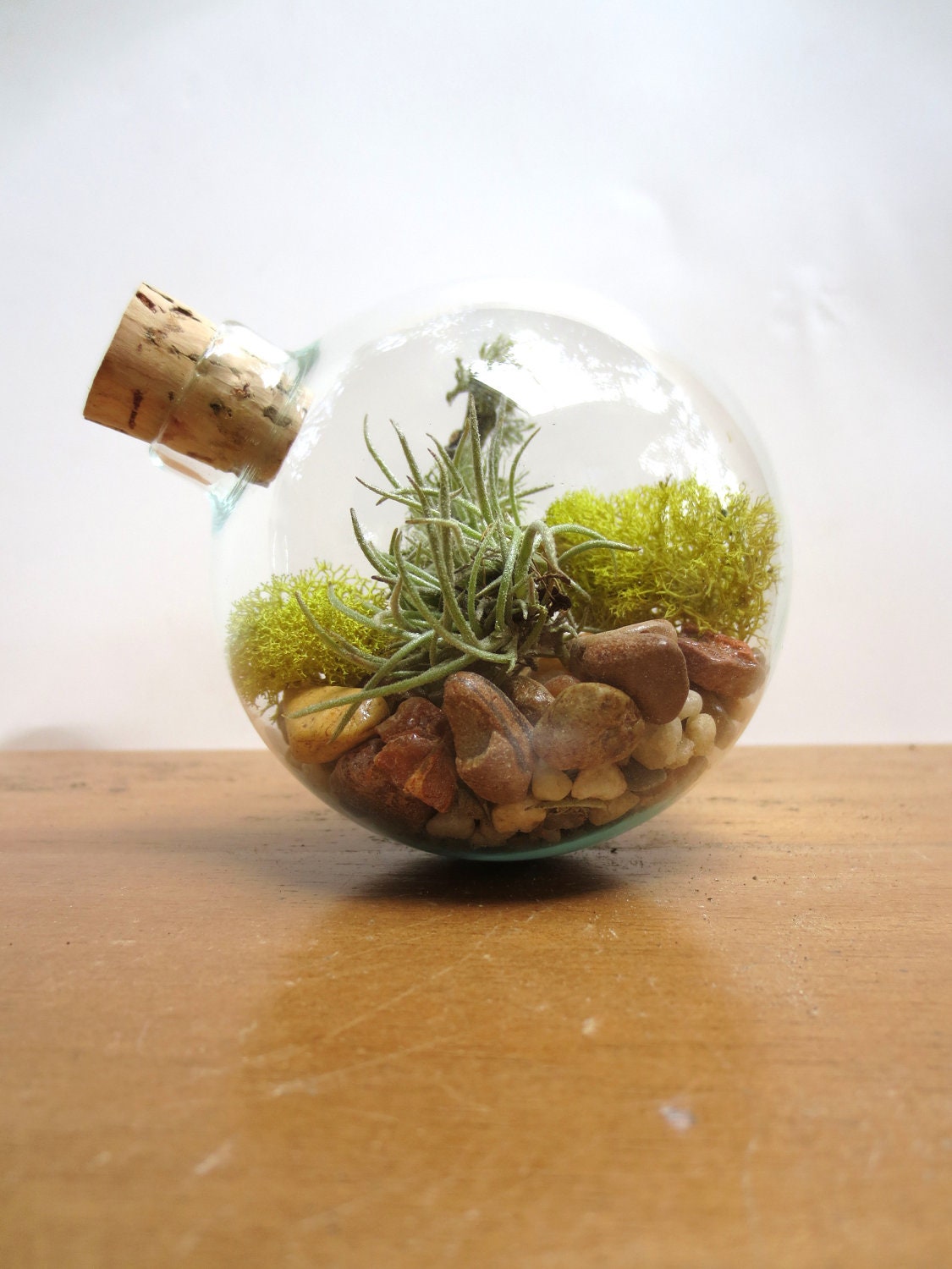 In Perfect Balance Terrarium...Miniature Desktop Garden, Unique Glass Orb Moss and Lichen Terrarium Miniature Terrarium Decor