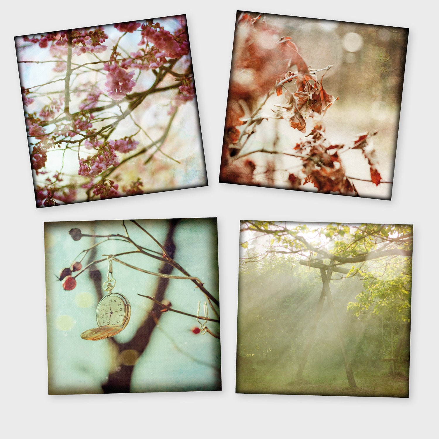 25% off - Set of 4 12x12 Nature Photographys collection Photography prints Fine Art