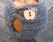 Wool Apple Cozy with Apple Button - Gray