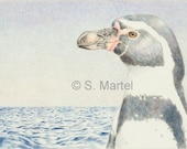Penguin giclee print, wildlife art, children's decor, Humboldt penguin, endangered wildlife, bird, seabird, 8 x 10 inches, penguin painting