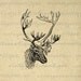 Printable Image Deer with Antlers Graphic Animal Digital Download Vintage Clip Art for Transfers etc HQ 300dpi No.497