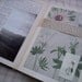 An altered book : Journal of my travels. Complete with original photographs, watercolours, sketches and stitching.
