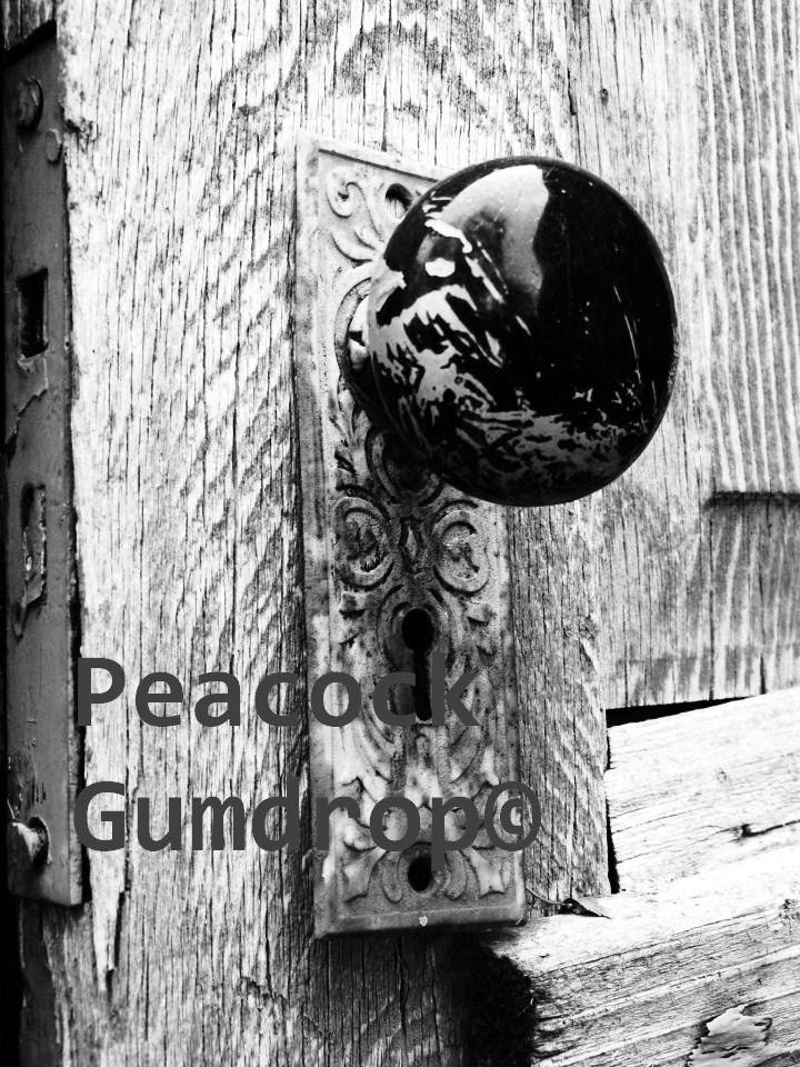 Beautiful Black and White Door knob photo - 8 x 10 frame Print Art Photography