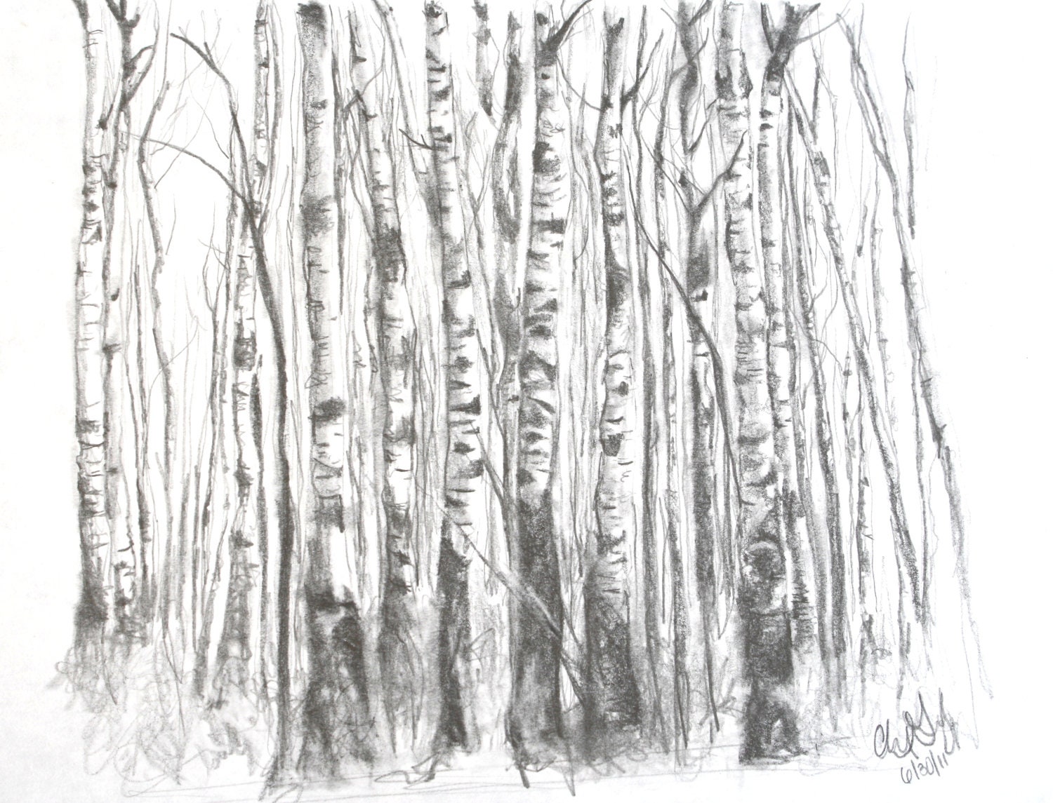 Tree Pencil Drawing