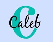 Vinyl wall decals Personalized  Monogram name -Lettering words wall quotes graphics Home decor decal custom