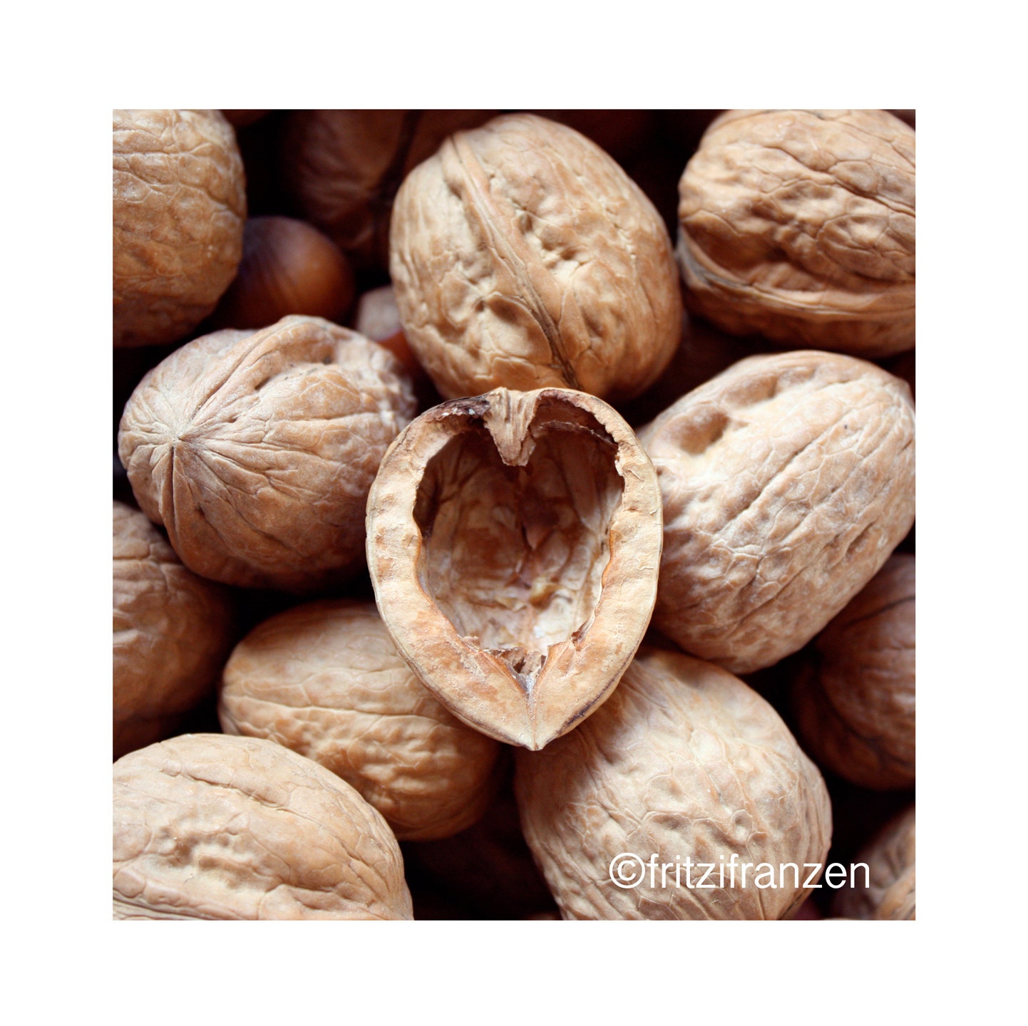 Nutty Love 5x5 Photo