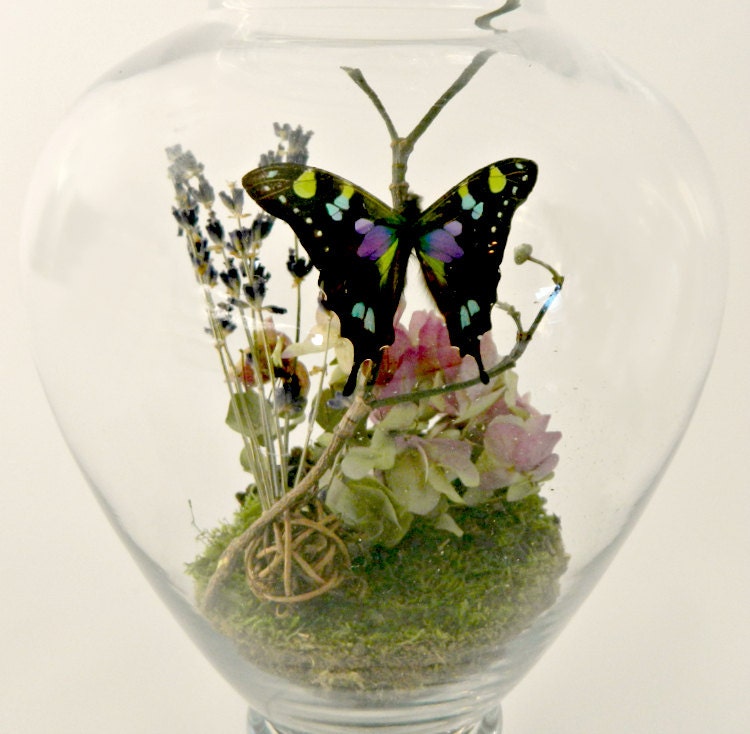 Contents Only - Butterfly Terrarium Kit, Real Butterfly Terrarium Kit, Dried Lavender