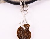 AMMONITE fossil HANDMADE NECKLACE spiral nautilus stone green warm brown leather pendant organic natural earthy jewelry unisex