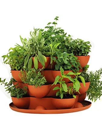 Stack & Grow Planter Plus Culinary Herb Garden Starter Kit - Complete Indoor / Outdoor Herb Garden - Grow 12 Cooking Herbs