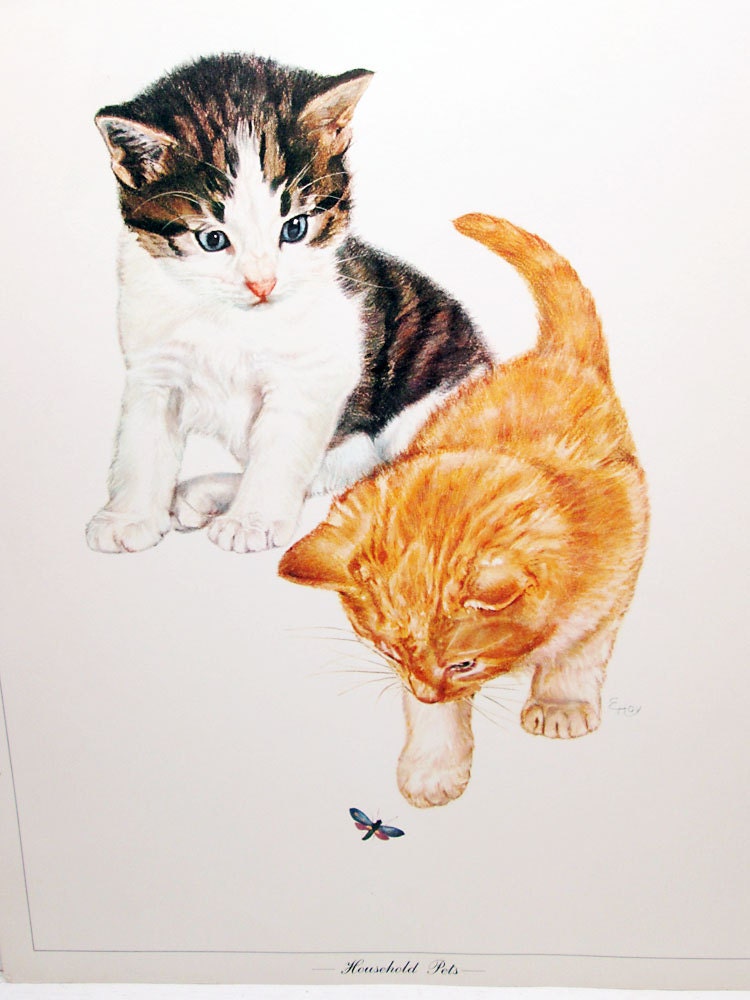 Vintage Kittens Illustration Print - Cat Illustrated Color Poster