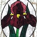 Stained Glass Purple Iris Suncatcher Oval Panel