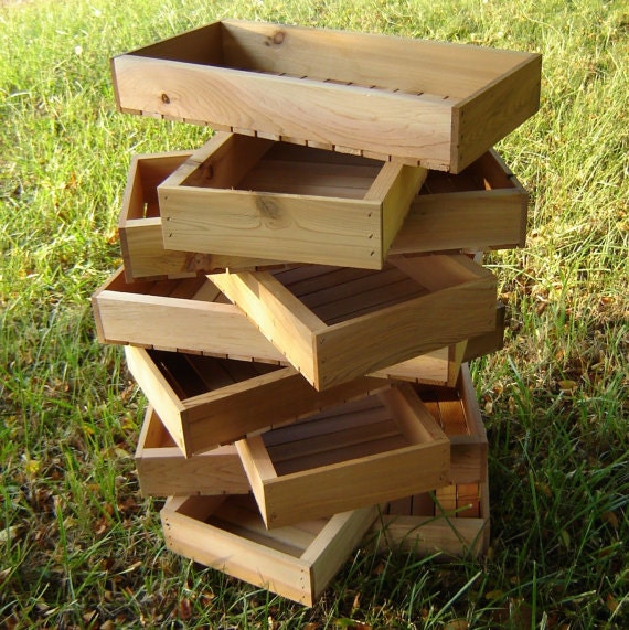Wood Seed Starting Tray Garden Box