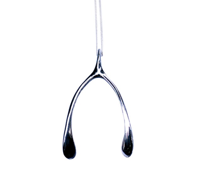 Silver Wishbone Necklace