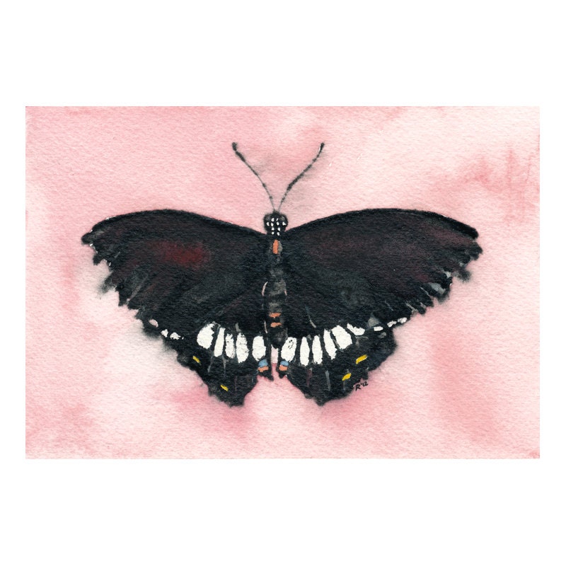Tattered Butterfly -  archival print of watercolor painting, 4 x 6