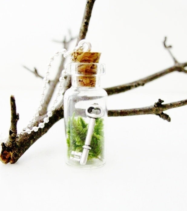 Terrarium Necklace / Silver Skeleton Key