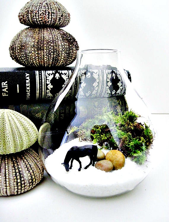 Miniature Wild Horse Terrarium: Horse Lovers Gift for Him in Tear Drop Glass Vase & Live Moss - Black Beauty