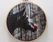 The Animal Collection Fabric Art - 7 inch hoop - Horse Wall Hanging - Embroidery Hoop Art - Photograph on Fabric - Textile