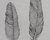 2 small black feathers -- original ink drawing
