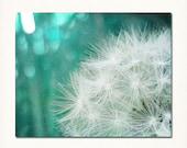 Dandelion Photograph, 8"x10" Fine Art Nature Photography Print. Affordable. Ocean White Seeds Beautiful.