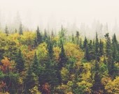 North of Wawa 02 - 8x10 fine art print