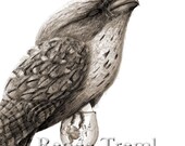 Who Needs Trees 1 - ECO Limited Edition Fine Art Print