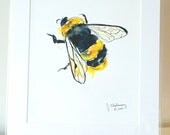 Bumblebee- 11 x 14 Fine Art Print - Wall Art - Insect - Baby Bumble Bee - Yellow - Wall Accent Art