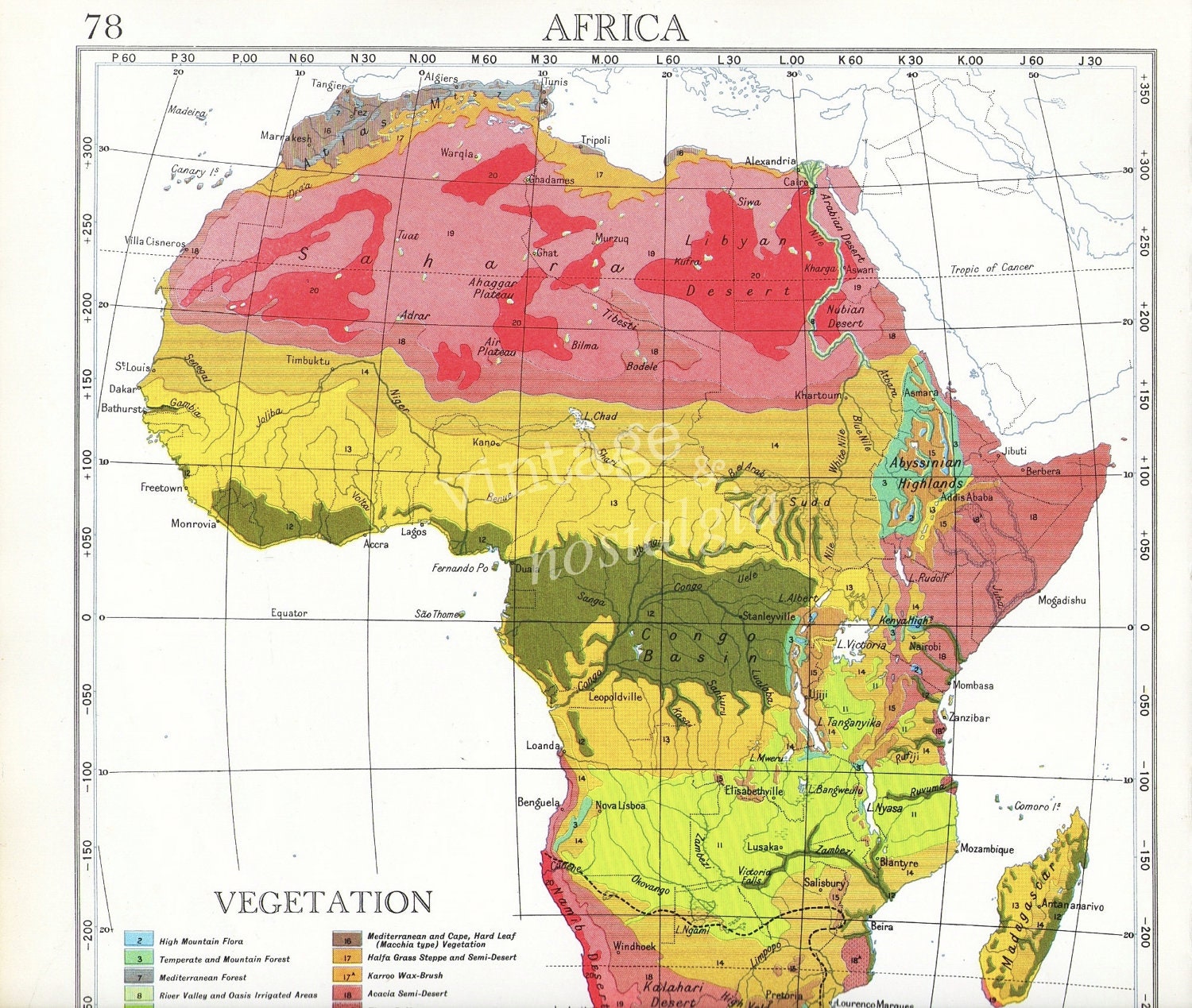 Africa Precipitation Map