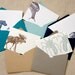 A Year's Worth of Greetings (a collection of 5 letterpress printed cards & envelopes to suit almost any occasion that 2013 should bring)