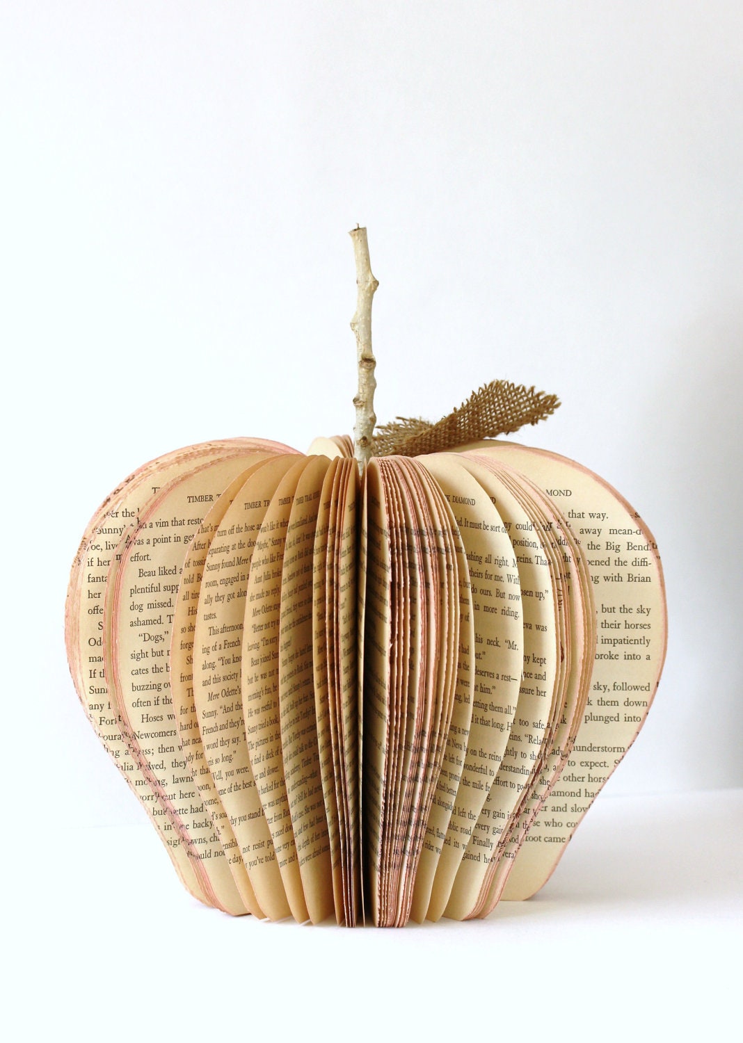 large VINTAGE BOOK APPLE /// made to order
