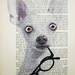Portrait Prints posters Acrylic paintings Illustration Original Drawing Giclee Mixed Media Art digital typography:Clever Chichuahua