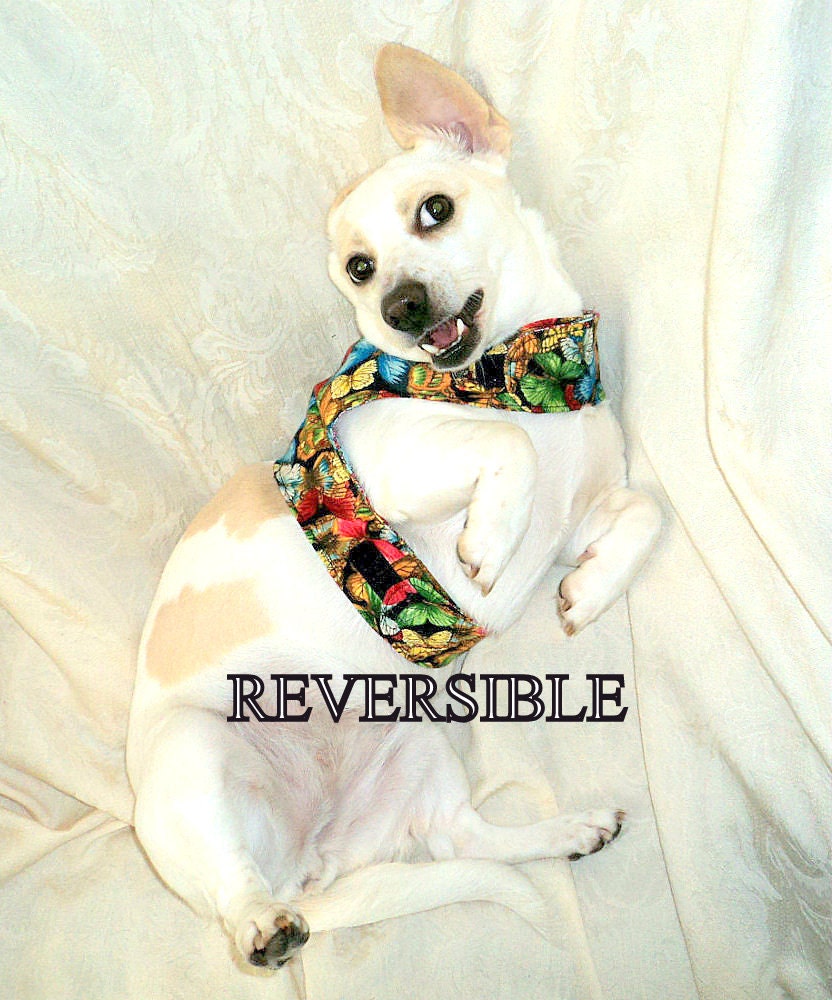 Dachshund dog harness vest adjustable reversible handmade pets clothing damask print and butterflies
