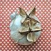 Cotton Boll Ornament - Christmas Ornament - Wedding Decoration - Wedding Favor - 2nd Anniversary Gift - Christmas Gift - Home Decor